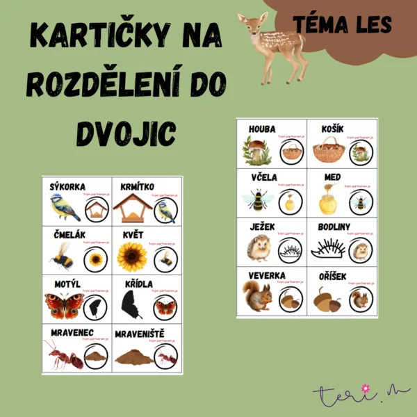 KARTIČKY K ROZDĚLENÍ DO DVOJIC - téma LES 1