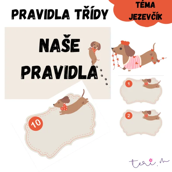 TŘÍDNÍ PRAVIDLA - téma JEZEVČÍK 1