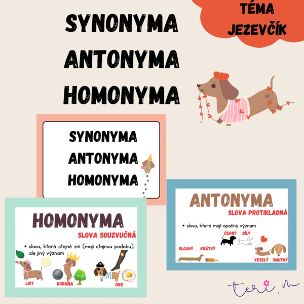 SYNONYMA, ANTONYMA, HOMONYMA - téma JEZEVČÍK 1
