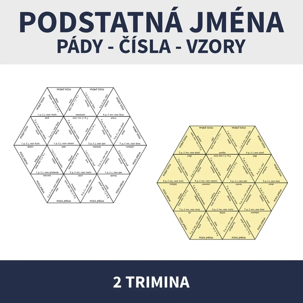 VZORY PODSTATNÝCH JMEN (trimina, vzory, mluvnické kategorie) 1