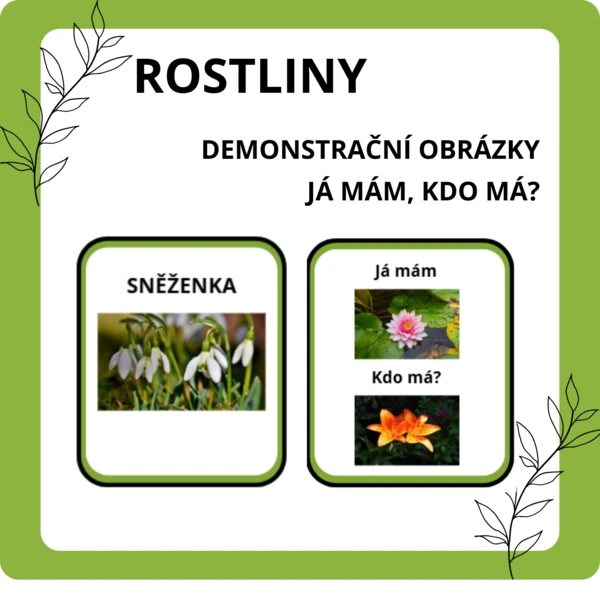 Rostliny - Já mám, kdo má? + Demonstrační obrázky 1