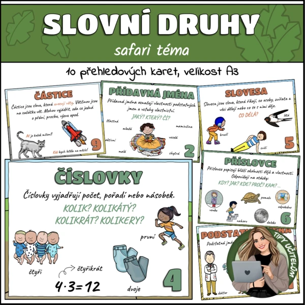 Slovní druhy - přehledové karty - safari téma 1