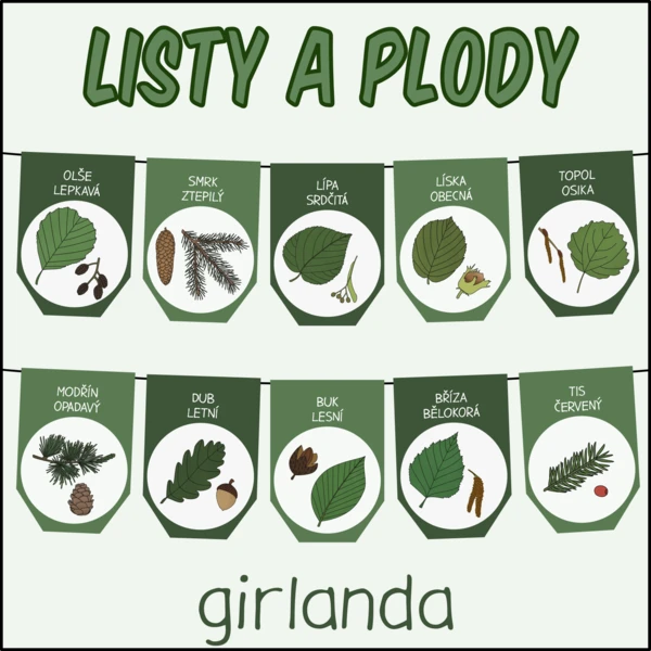 Listy a plody stromů - Girlanda 1
