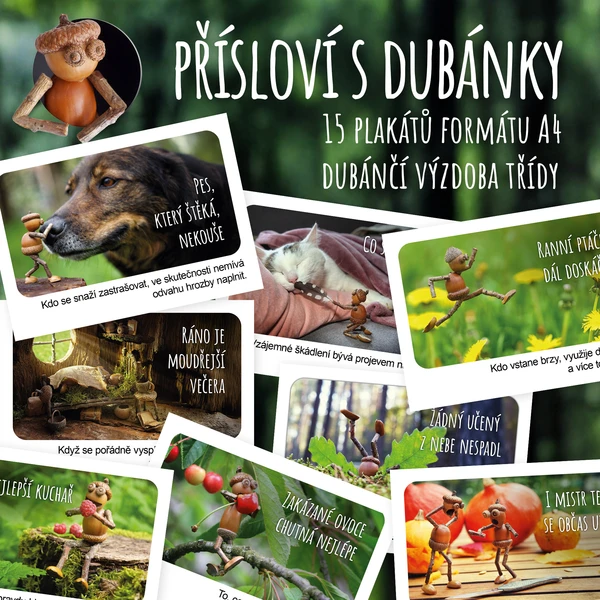 Přísloví s dubánky - plakáty 1
