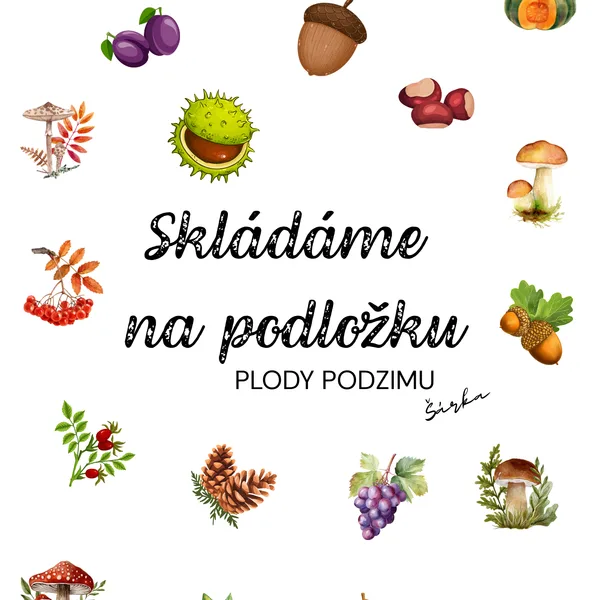Skládáme na podložku - PODZIMNÍ PLODY 1