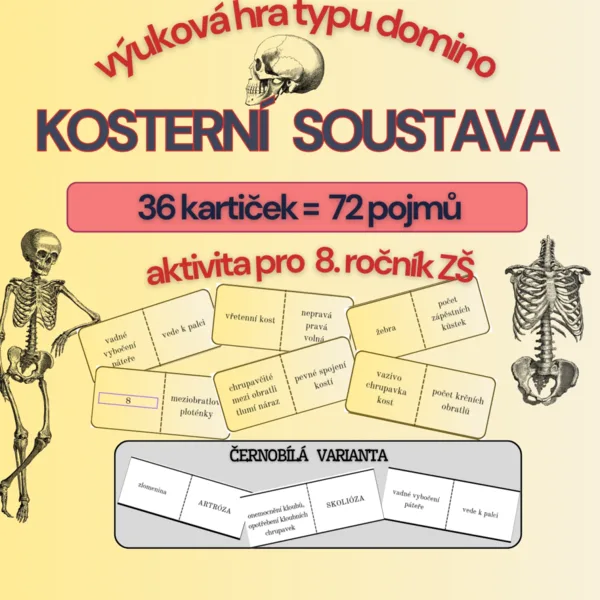 Domino- opakování tématu Kosterní soustavy, barevná i černobílá verze 1