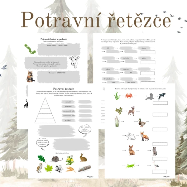 Potravní řetězce 1