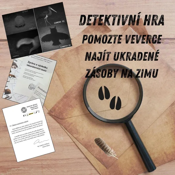 Detektivní hra pro MŠ - pomozte veverce najít ukradené zásoby na zimu (LESNÍ ZVĚŘ) 1