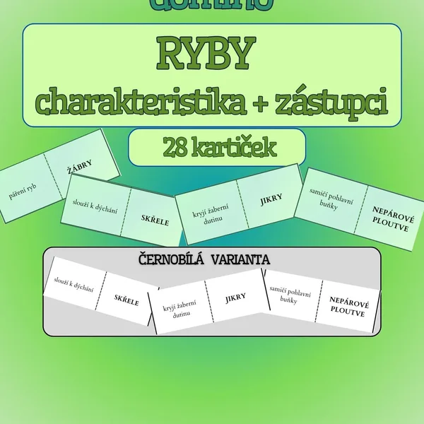 Domino RYBY - charakteristika + zástupci -barevná i černobílá verze 1