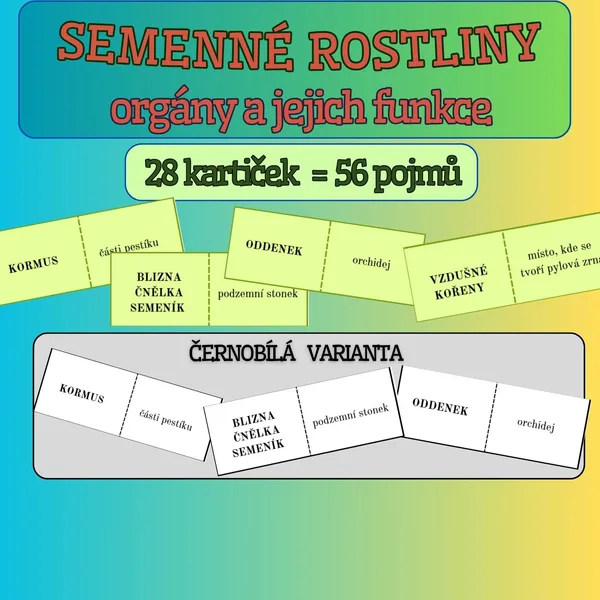 Domino SEMENNÉ ROSTLINY - orgány a jejich funkce - barevná i černobílá verze 1