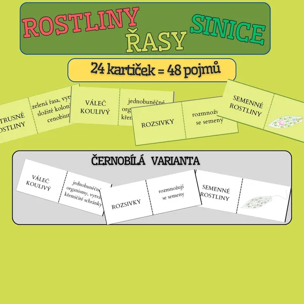 Domino ROSTLINY, ŘASY, SINICE - opakování - barevná i čb verze 1