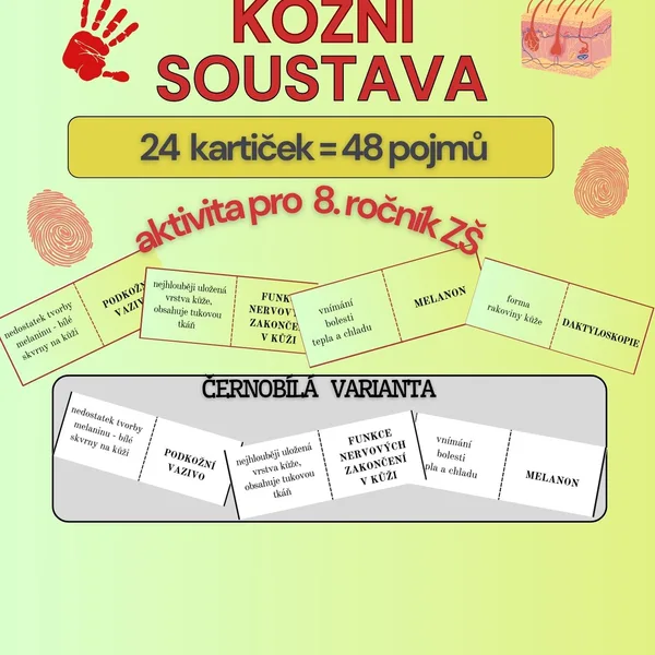 Domino KOŽNÍ SOUSTAVA - barevná i černobílá verze 1