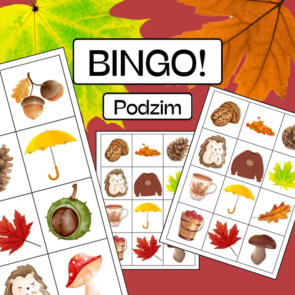 BINGO! Podzim 1