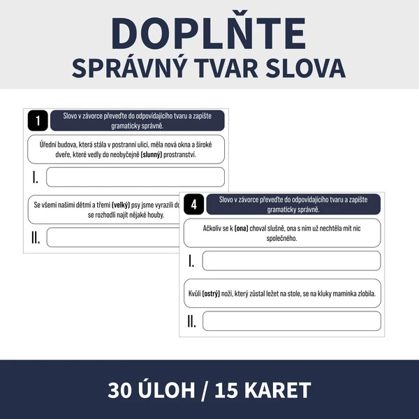 DOPLŇ SPRÁVNÝ TVAR SLOVA (přijímačková úloha) 1