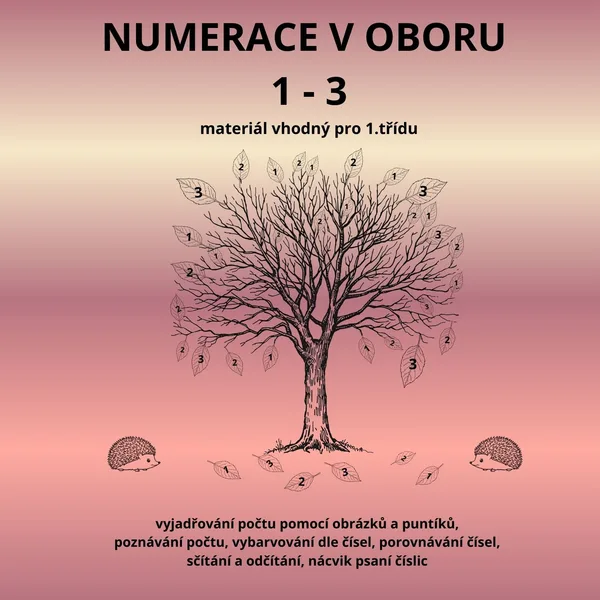Numerace v oboru 1 - 3 1