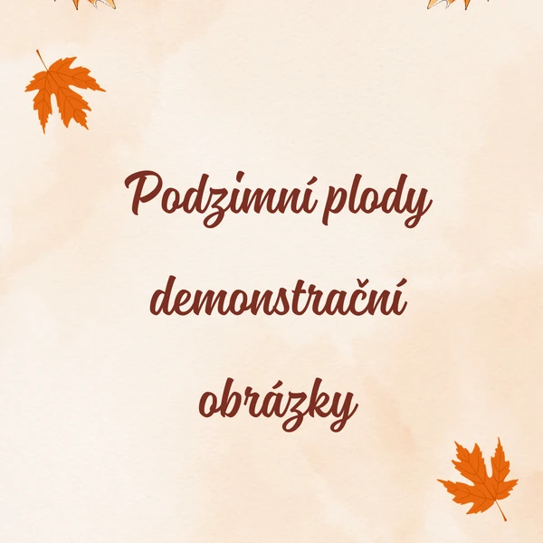 Podzimní plody - demonstrační obrázky 1
