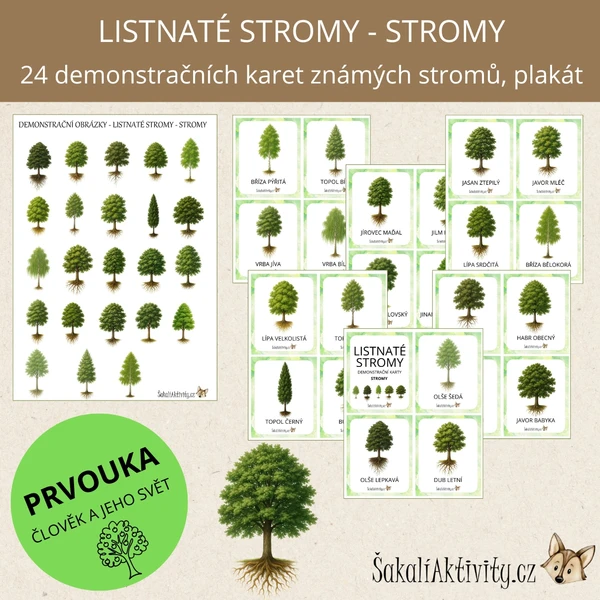  Listnaté stromy - stromy - demonstrační karty  1