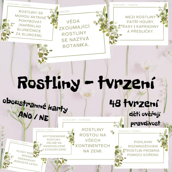 ROSTLINY - tvrzení ANO/NE (48 oboustranných karet) 1