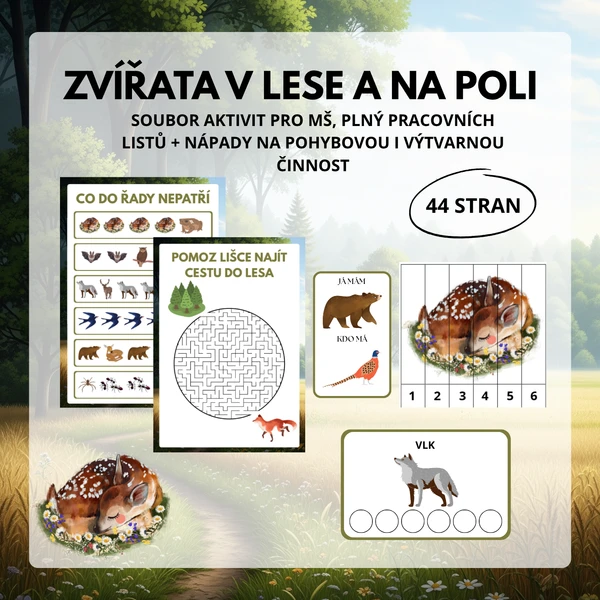 Zvířata v lese a na poli 1