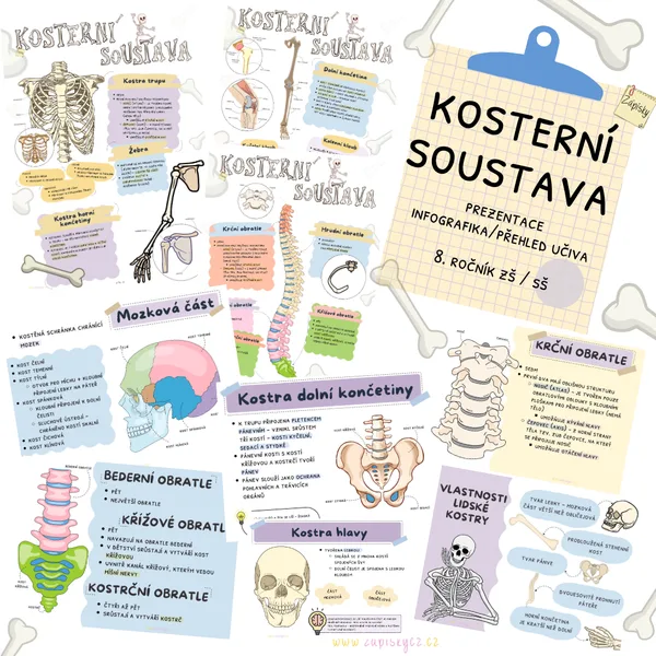 Kosterní soustava 1