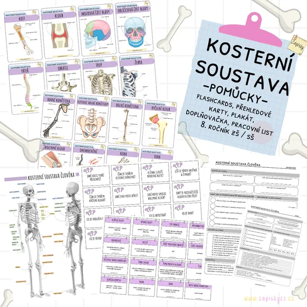 Kosterní soustava - pomůcky 1