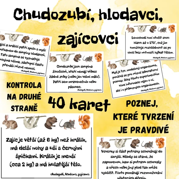 CHUDOZUBÍ, HLODAVCI, ZAJÍCOVCI - 40 tvrzení (karty ANO/NE) 1