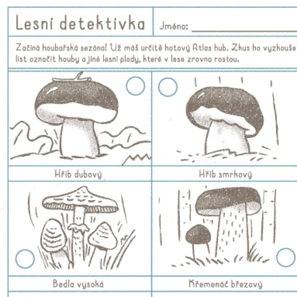 HOUBY - LESNÍ DETEKTIVKA 1