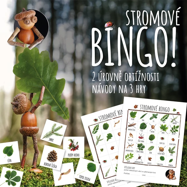 Stromové bingo - poznáváme naše stromy 1