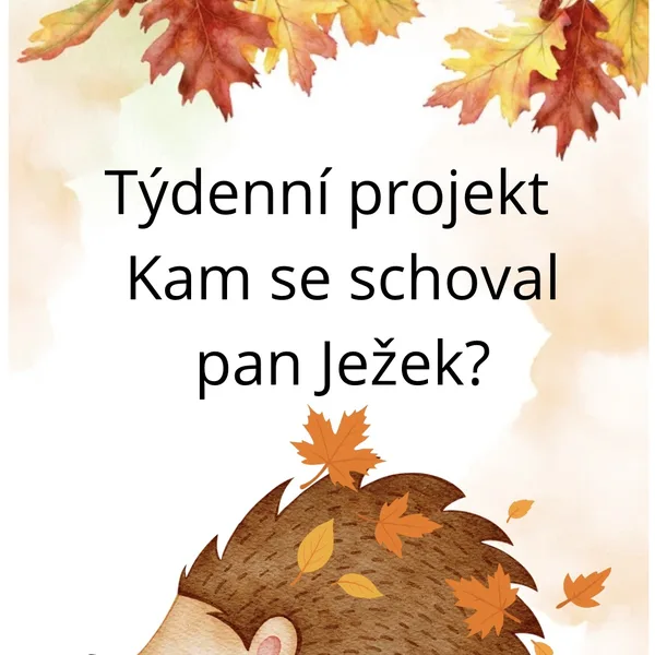 Kam se schoval pan Ježek? 🦔🍁 1