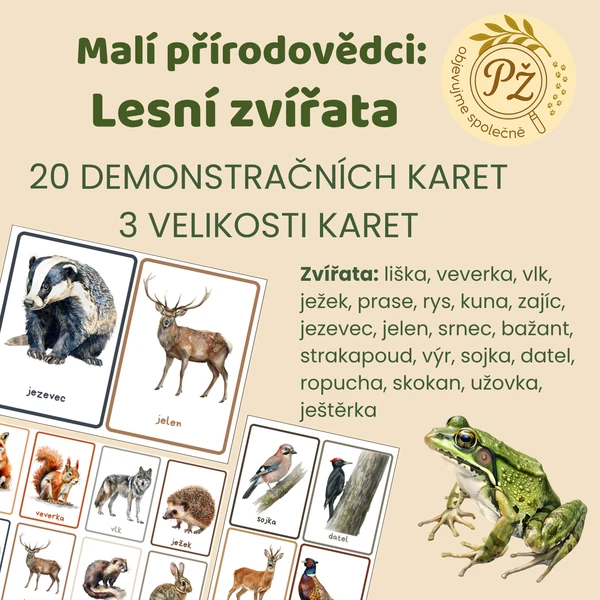 Malí přírodovědci: Demonstrační karty lesní zvířata 1
