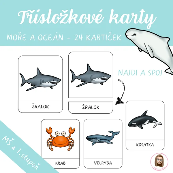 Třísložkové karty - MOŘE A OCEÁN 1