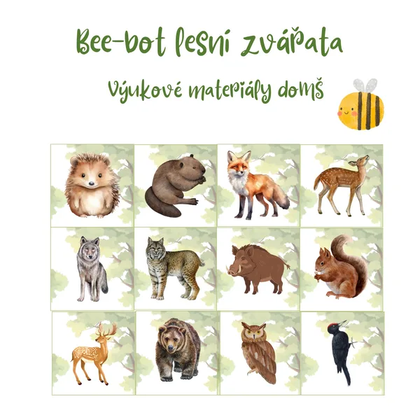 Bee-bot lesní zvířata 🦉🦊 1
