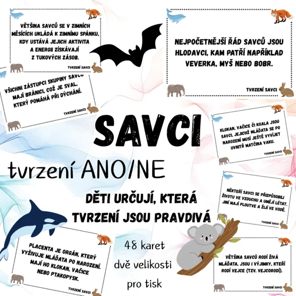 Tvrzení - savci (48 karet) 1