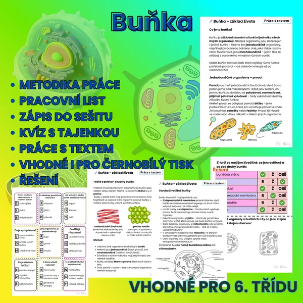 Buňka 1