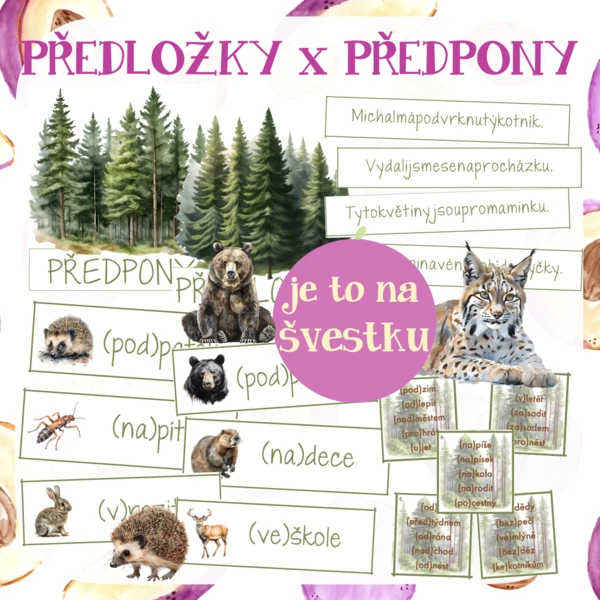 Předložky a předpony 1