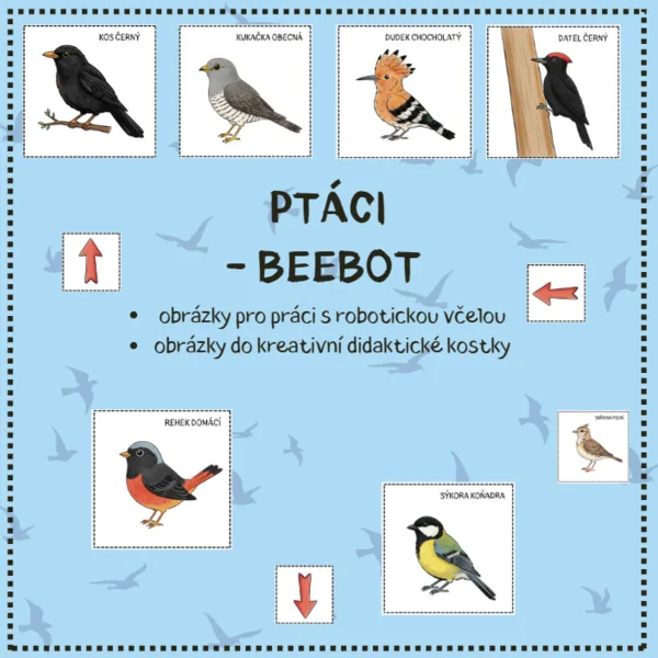 PTÁCI - didaktická včelka beebot 1