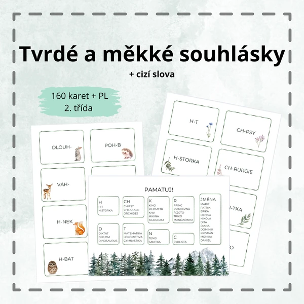 Tvrdé a měkké souhlásky + cizí slova 1