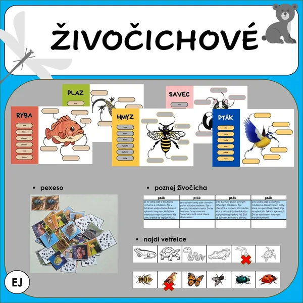 Živočichové 1