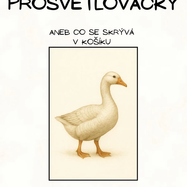 Svatomartinské prosvětlovačky 1