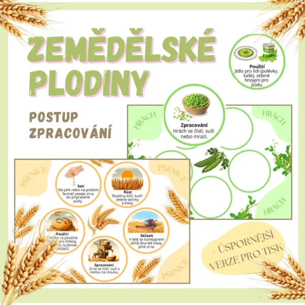 Zemědělské plodiny 1