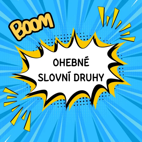 Ohebné slovní druhy 1