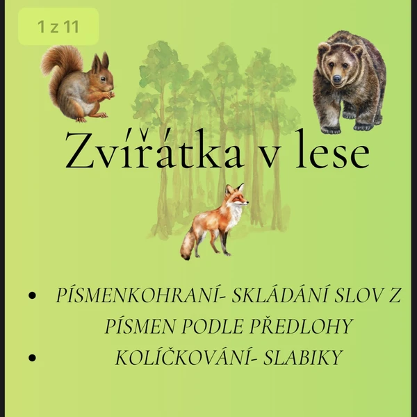 Zvířátka v lese 🌲🦔🦨🦝🐿️🌲 1