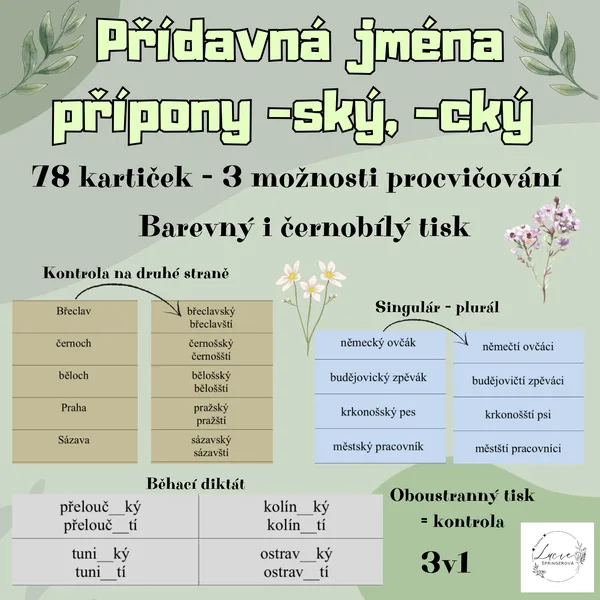 Přídavná jména - přípony (-ský/-ští, -cký/-čtí) 1