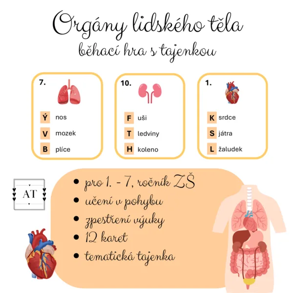 Orgány lidského těla - běhací hra s tajenkou 1