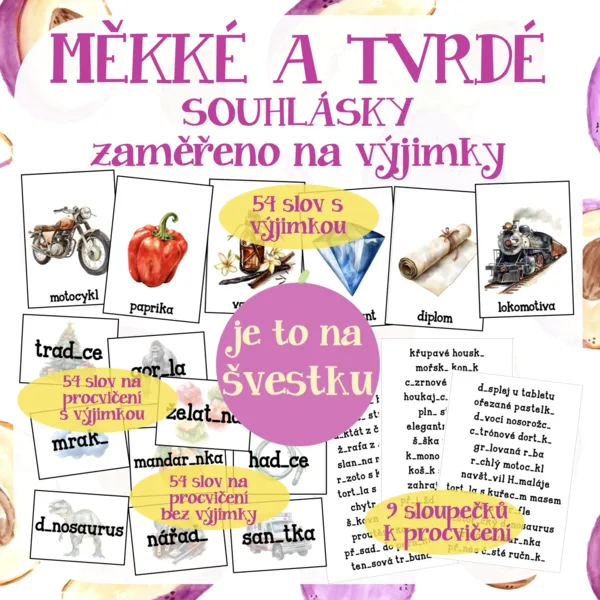 Tvrdé a měkké souhlásky - zaměřeno na výjimky 1