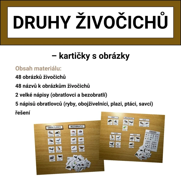 DĚLENÍ ŽIVOČICHŮ – kartičky s obrázky 1