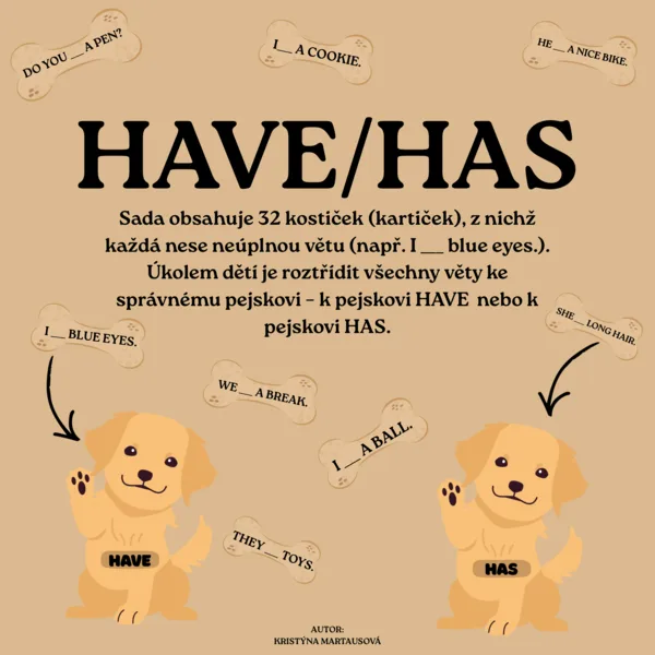 Anglická gramatika hrou: HAVE/HAS 1