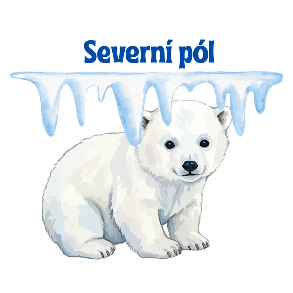 Severní pól 1