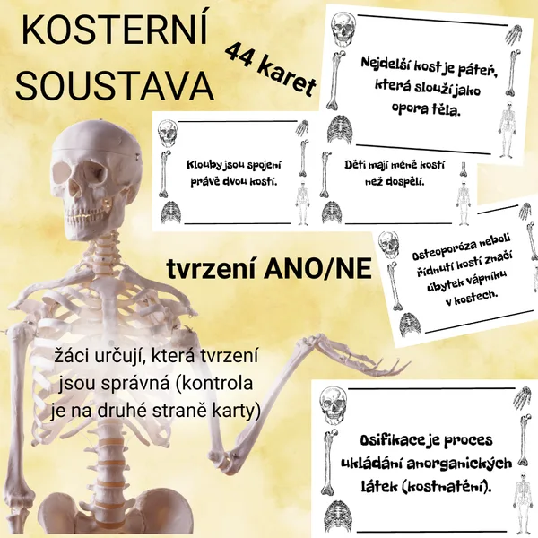 Kosterní soustava - 44 tvrzení (ANO/NE) 1
