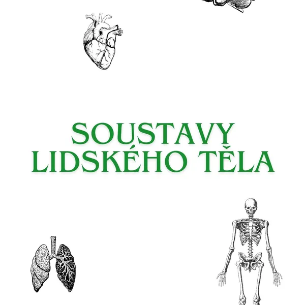 SOUSTAVY LIDSKÉHO TĚLA - přírodopis, biologie 1